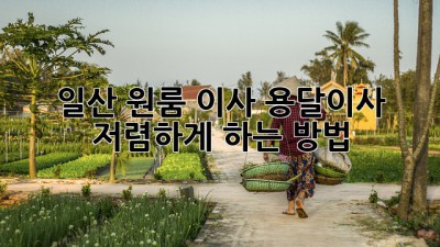 일산 원룸 이사, 용달이사 저렴하게 하는 방법!
