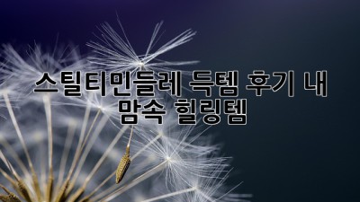 스틸티민들레🌿 득템 후기! 내 맘속 힐링템✨